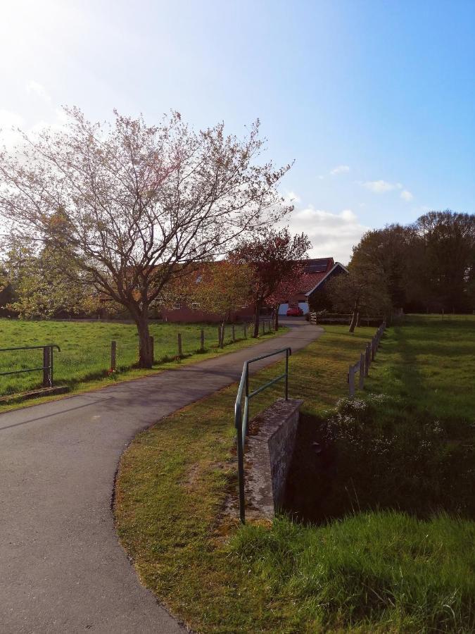 Am Waldrand
